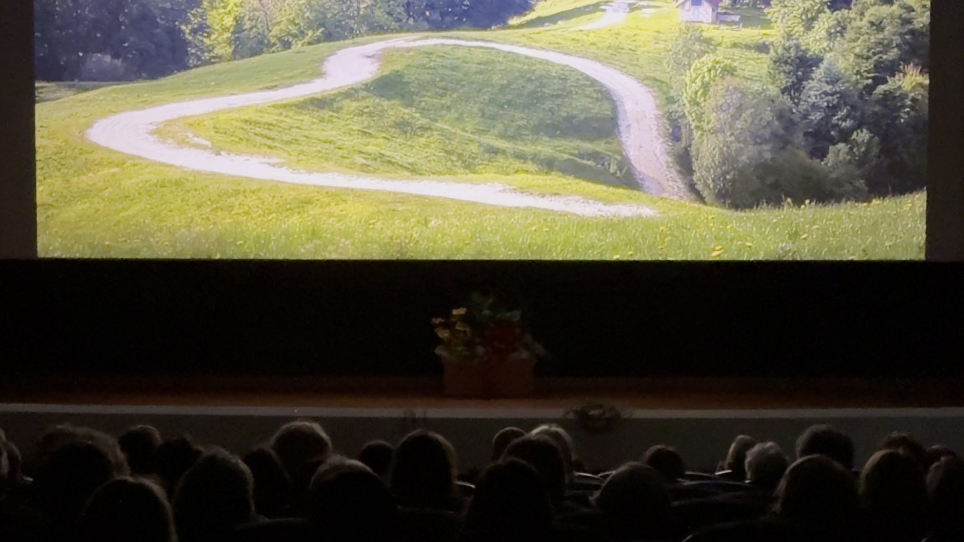 The big screen of the Gallio Film Festival at night, with the audience watching Whispered Green